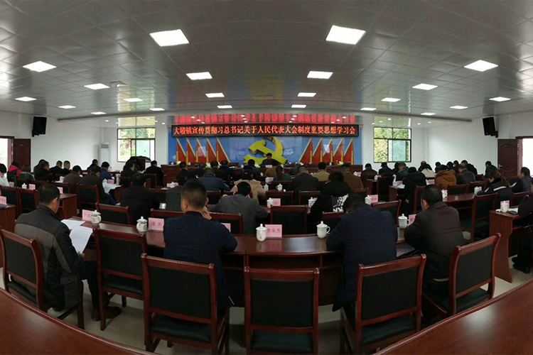 用实力说话，贝拉利专业音响厂家案例大赏